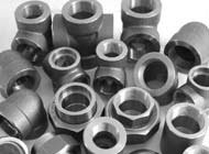 Carbon & Alloy Steel Forged fitting Carbon & Alloy Steel Forged fitting