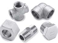 Tantalum Forged fitting Tantalum Forged fitting